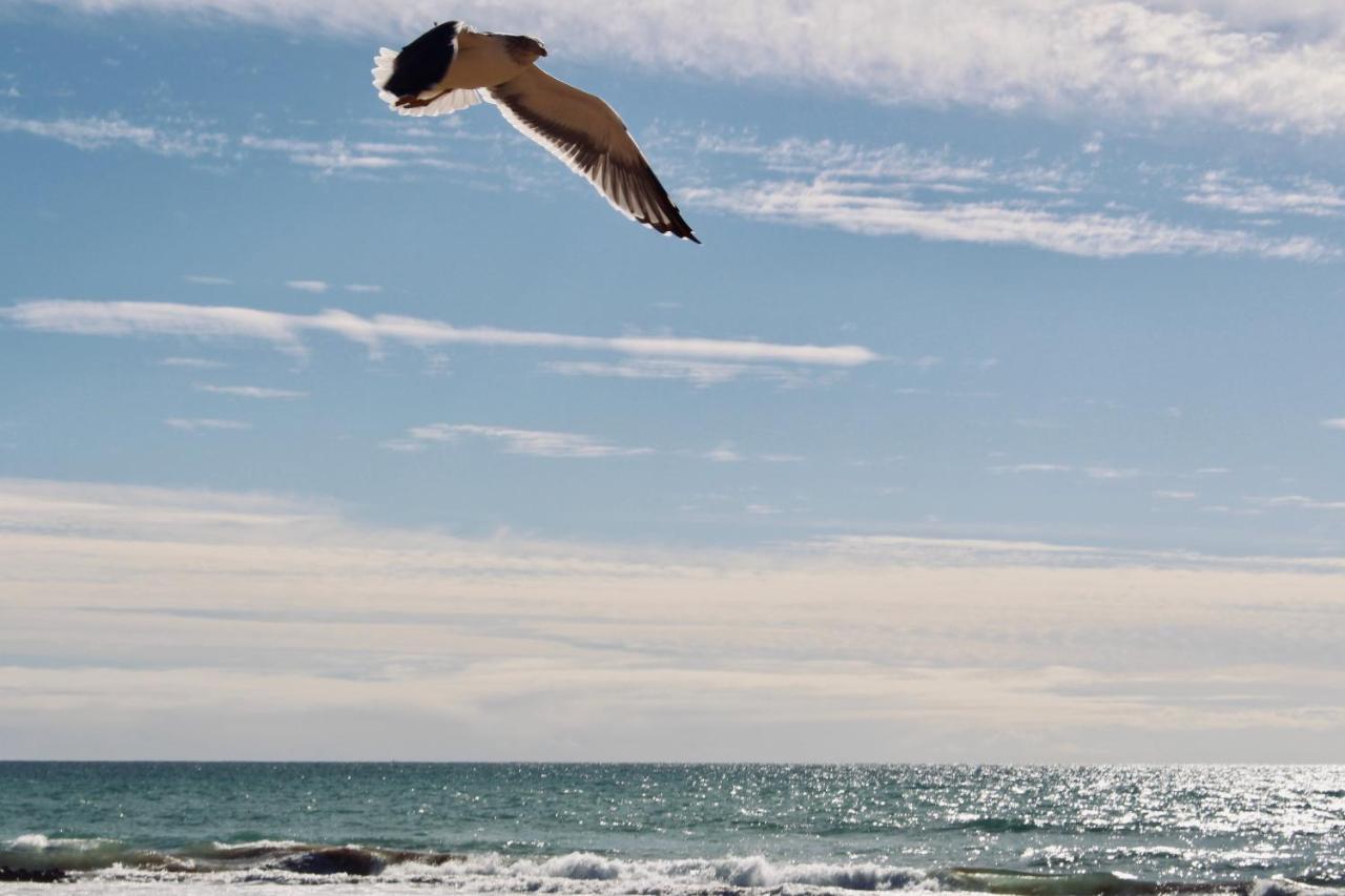 Atlas Wonders Coworking Surf Camp Taghazout Exterior foto